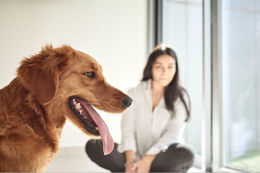 PetBae : A TECH-POWERED PET CARE REVOLUTION MAKING WAVES IN THE REGION’S PET INDUSTRY