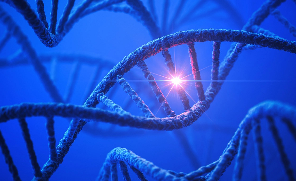 Artificial intelligence predicts harmful genetic mutations