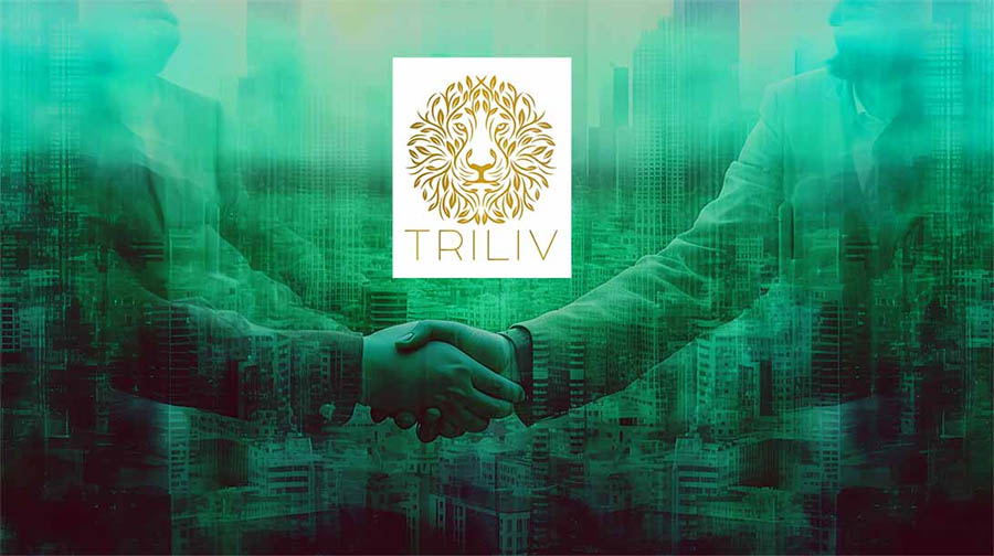 Triliv Holdings LTD Joins Verchool Holdings’ As Strategic Investor On A $50 Million Valuation Round